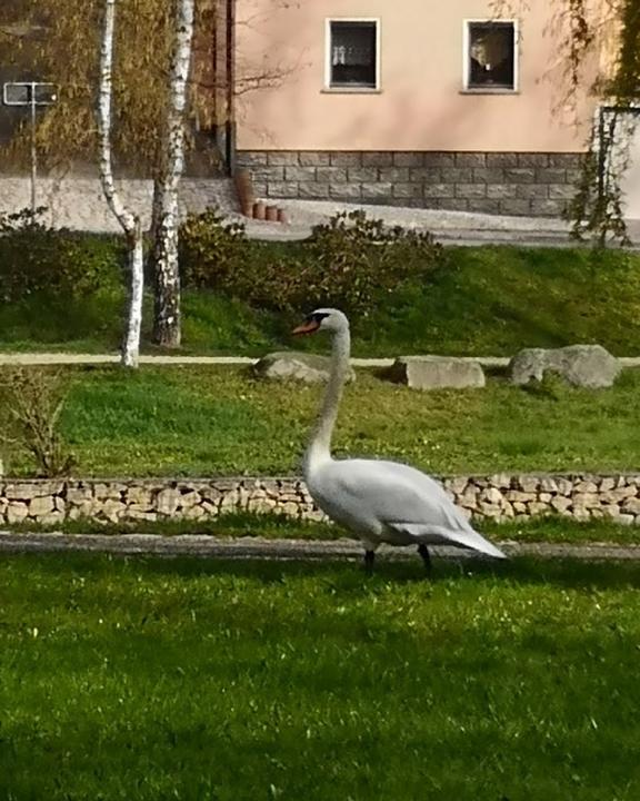 Gaststatte Goldener Adler